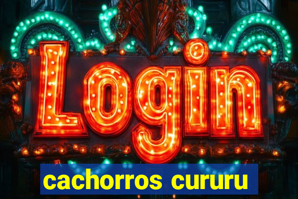 cachorros cururu